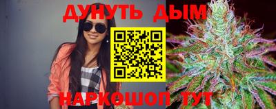 apvp Можга