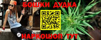 apvp Можга