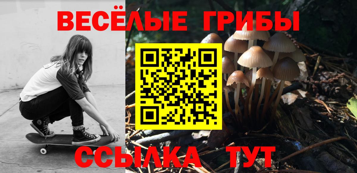 Галлюциногенные грибы MAGIC MUSHROOMS  Псилоцибиновые грибы GOLDEN TEACHER  Вход с VPN  Владикавказ 