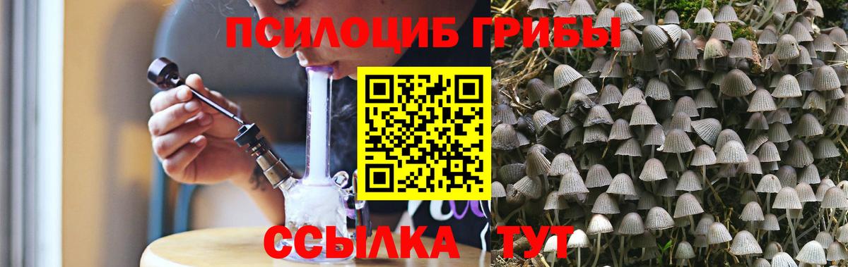 Псилоцибиновые грибы Magic Shrooms Владикавказ